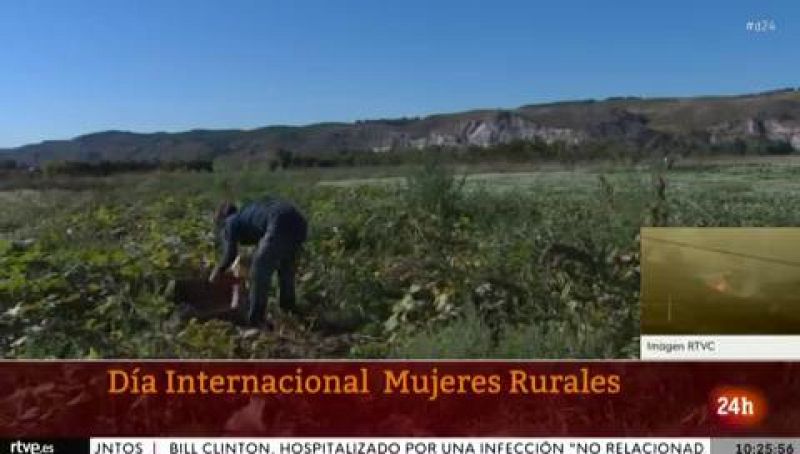 Día de las Mujeres Rurales: "Hay que promover una perspectiva de género en la política agraria europea"