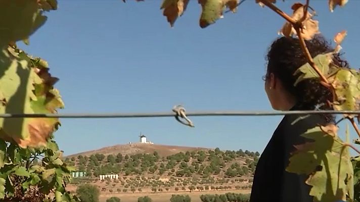 Telediario 1 - Mujeres que han logrado sus sueños profesionales sin abandonar el medio rural