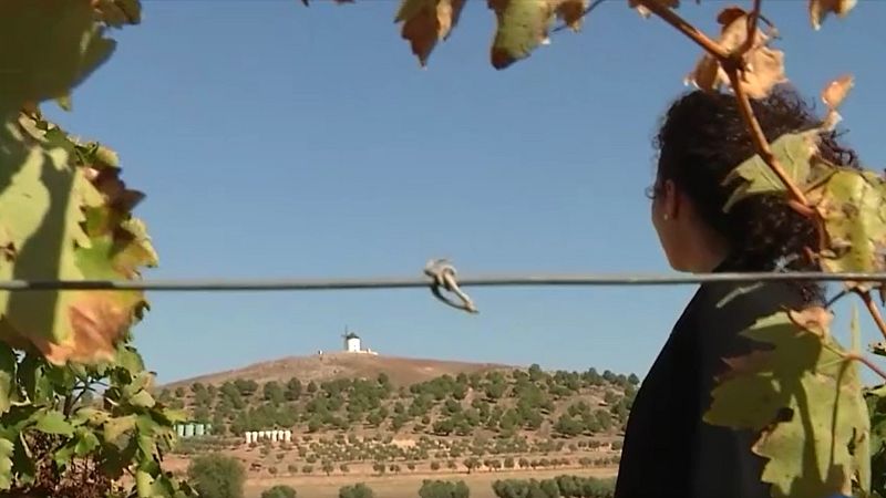 Mujeres que logran sus sueños profesionales sin salir del campo | Ver