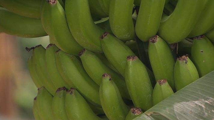 Agrosfera - Agrosfera - 16/10/21