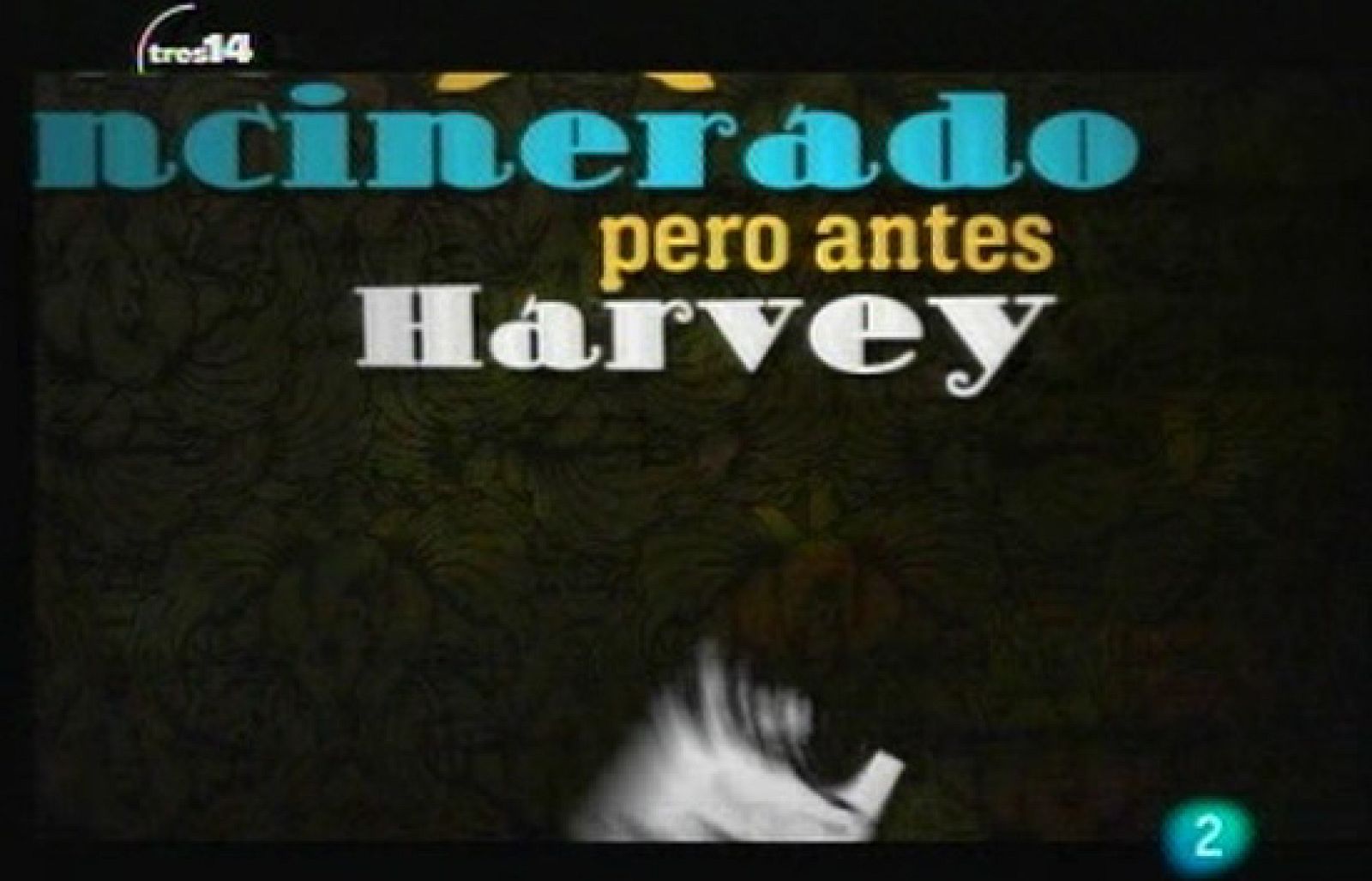 Cerebro de Einstein (inteligencia)