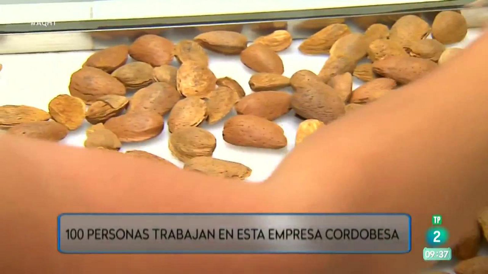 Aquí hay trabajo - El trabajo que da la almendra