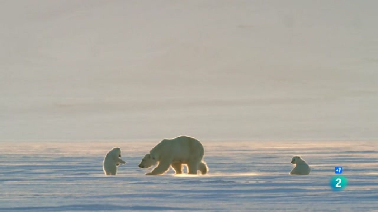 Grans Documentals - La reina sense terra - Veure ara