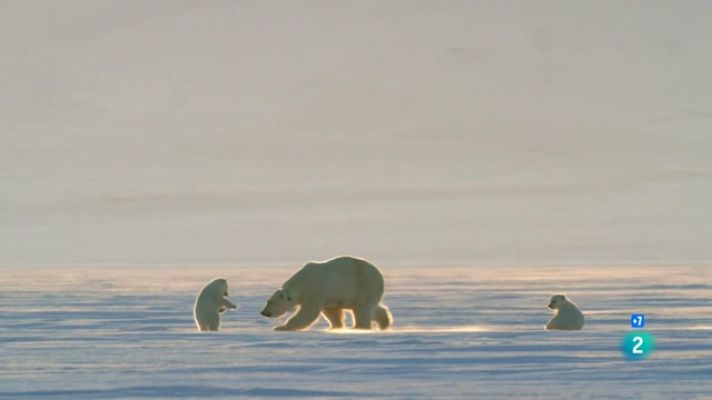 Som Documentals - La reina sense terra