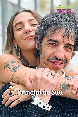 Efecte Collins - Principi de Suu