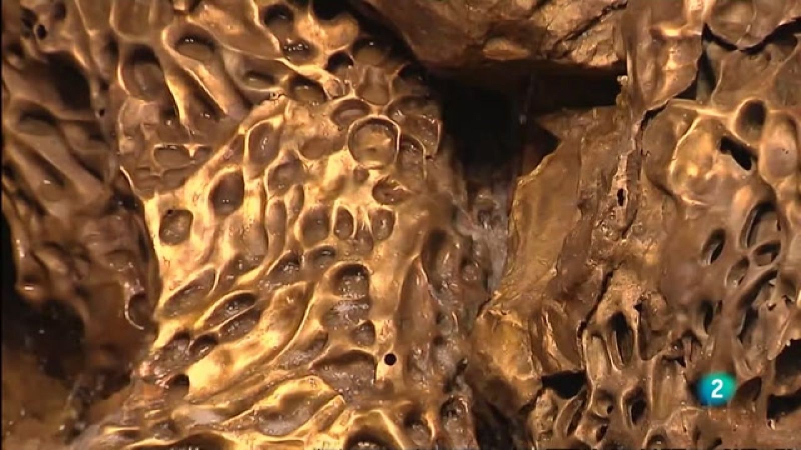 La aventura del saber - Hondalea | Ver