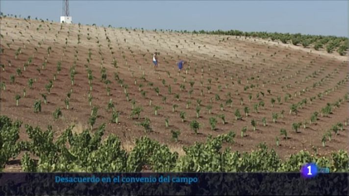 Noticias de Extremadura - Desacuerdo en el Convenio del Campo