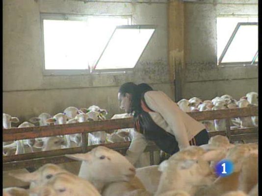 Tengo una pregunta para usted - Tengo una pregunta para usted