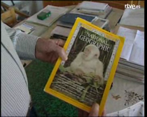 Arxiu TVE Catalunya - Hola Floquet!