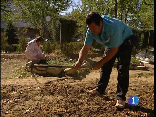 Ciencia y tecnología en Rtve.es - Día Mundial del daño cerebral