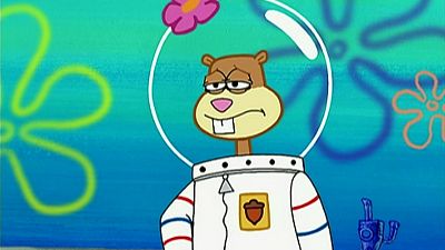 Arenita, Bob Esponja y el gusano - Bob Esponja | Ver