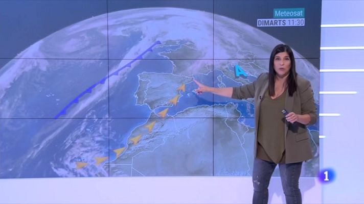 El temps - Boira matinal, sol enterbolit i caloreta