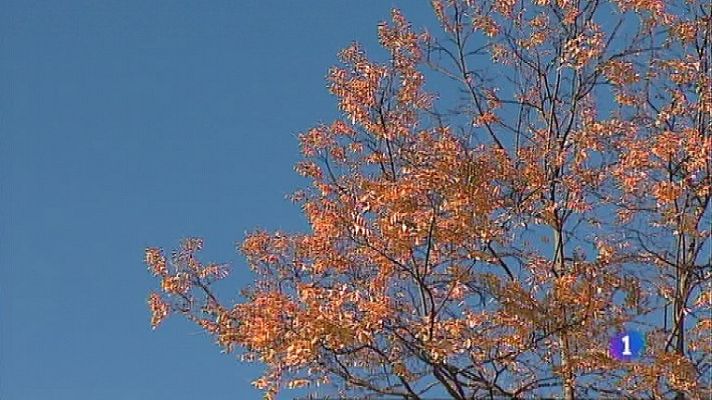 Panorama Regional - El tiempo en Asturias - 19/10/21