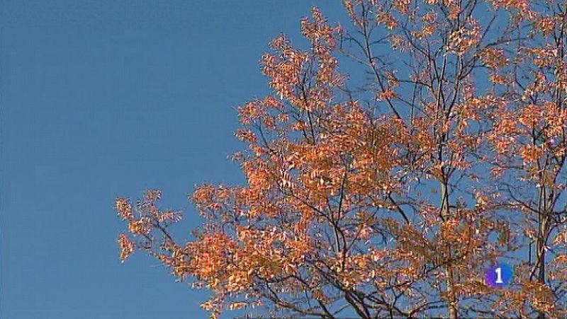 El tiempo en Asturias - 19/10/21 | Ver