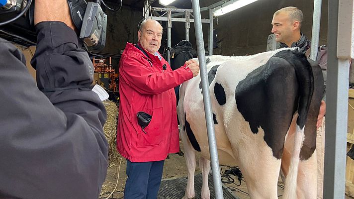 Aquí la Tierra - ¿Cómo se prepara una vaca para ir a concurso?