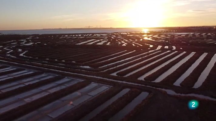 La aventura del Saber - Los tesoros de la salina