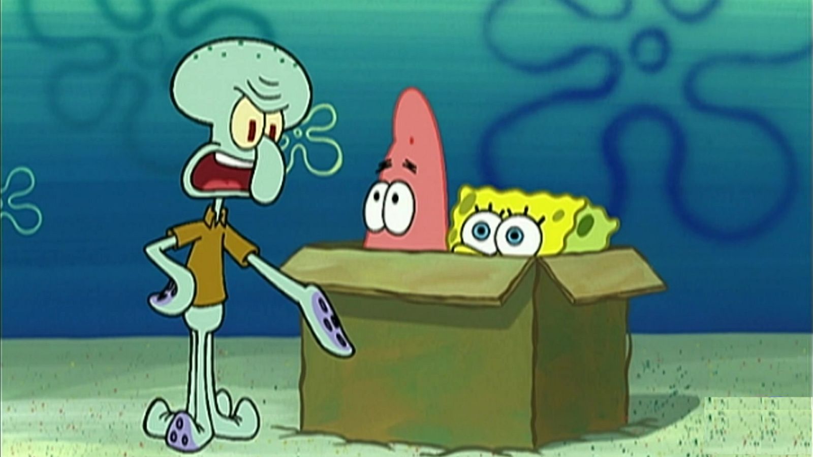 La caja tonta - Bob Esponja | Ver