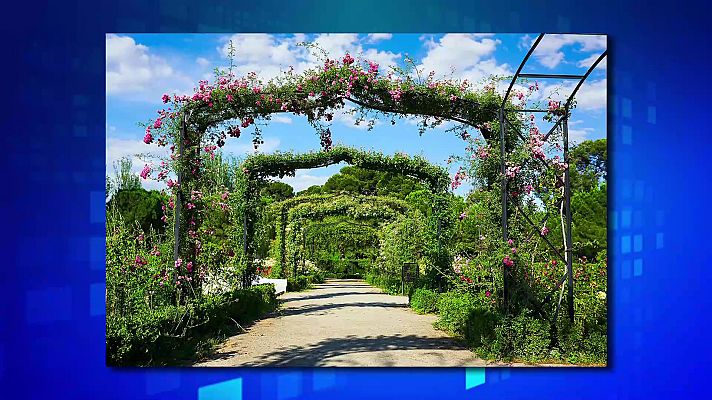 Saber y ganar - Saber y ganar - 25/10/21