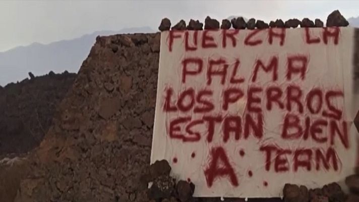 Telediario 1 - Un misterioso grupo se atribuye el rescate de los perros atrapados por la lava en La Palma