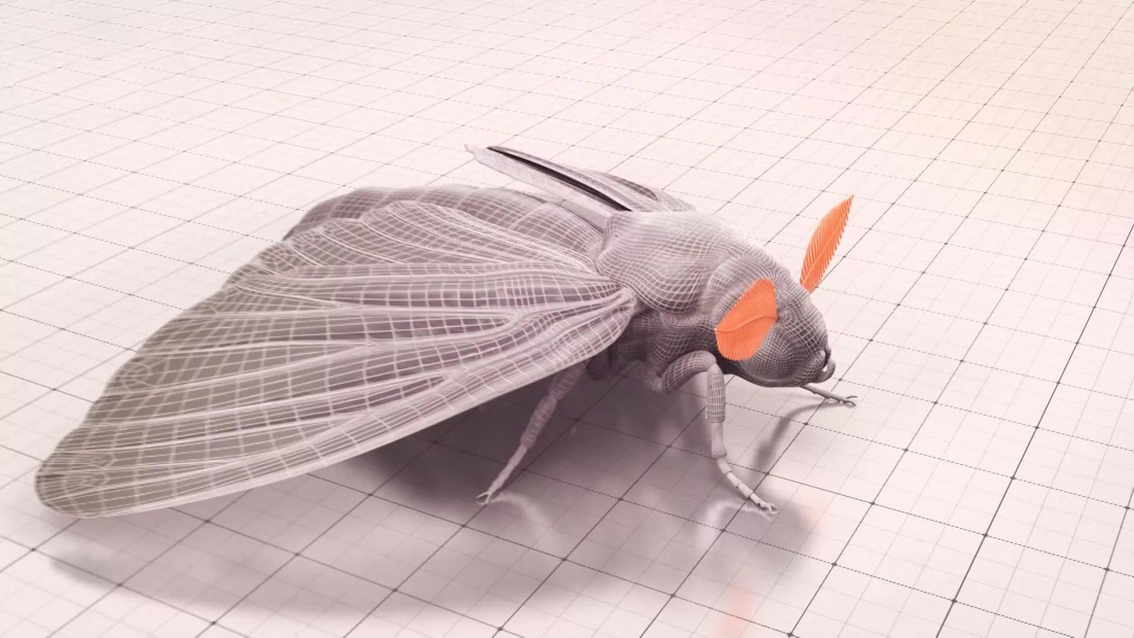 Supernaturaleza - Episodio 4: Sensibilidad - ver ahora