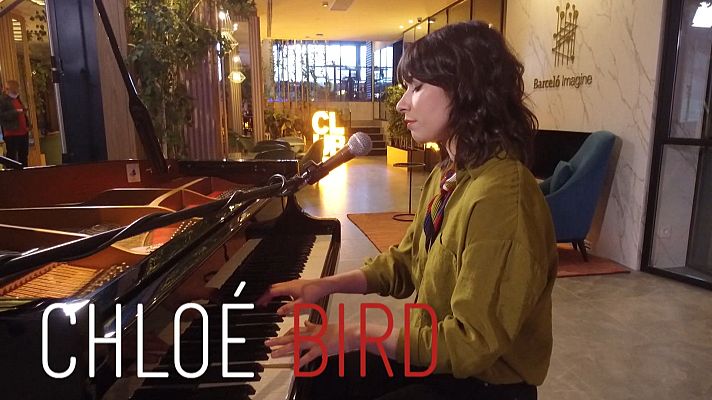 Atención obras - Acústico Chloé Bird