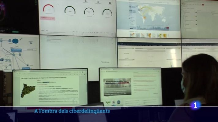 L'Informatiu - L'executiu vol reforçar el control informàtic a les universitats