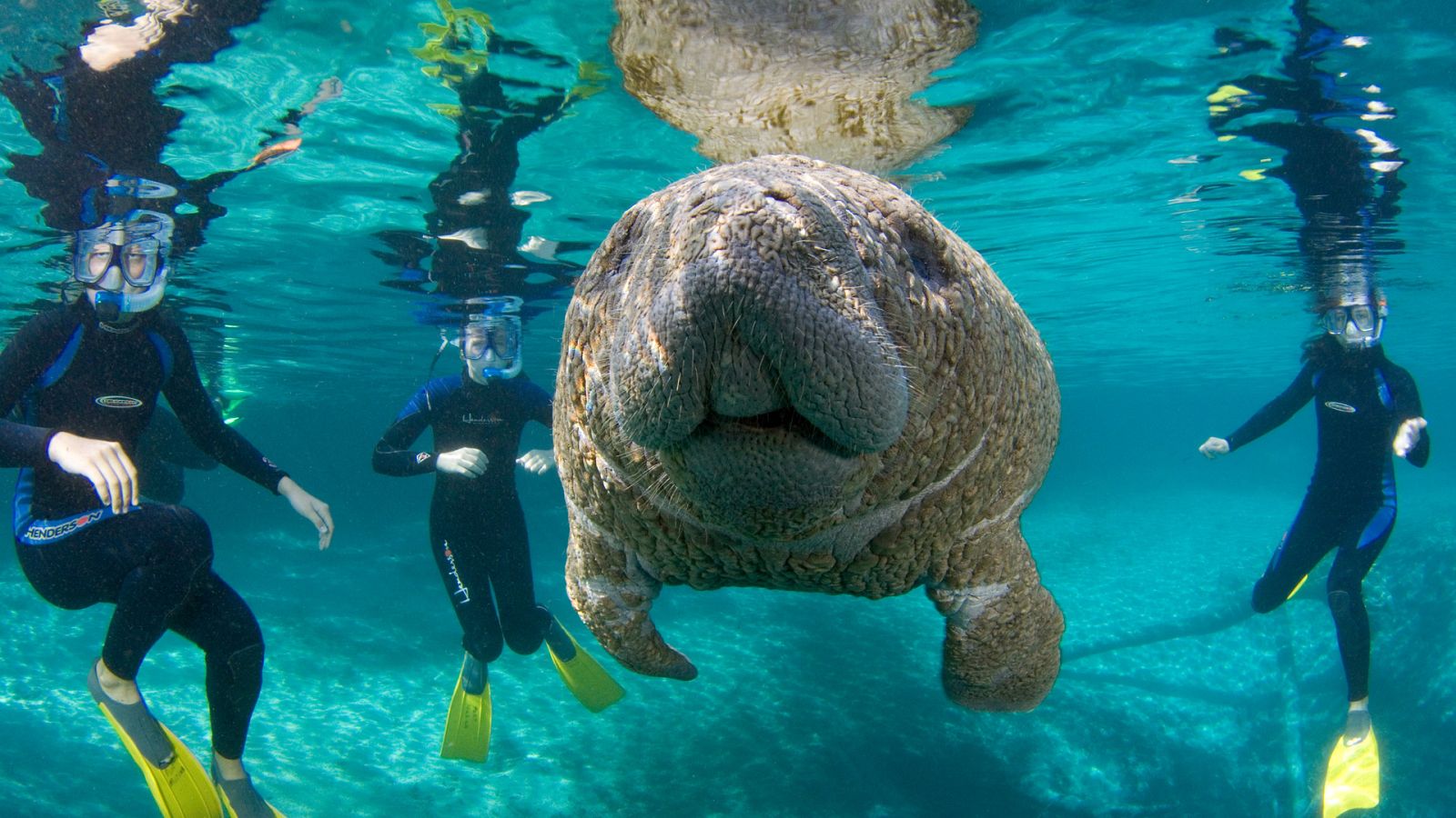 Ciudades salvajes - Episodio 3: Marginados - Ver ahora