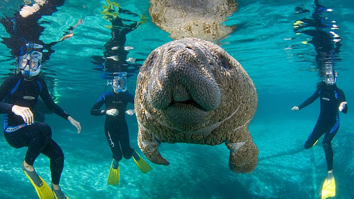 Ciudades salvajes - Marginados