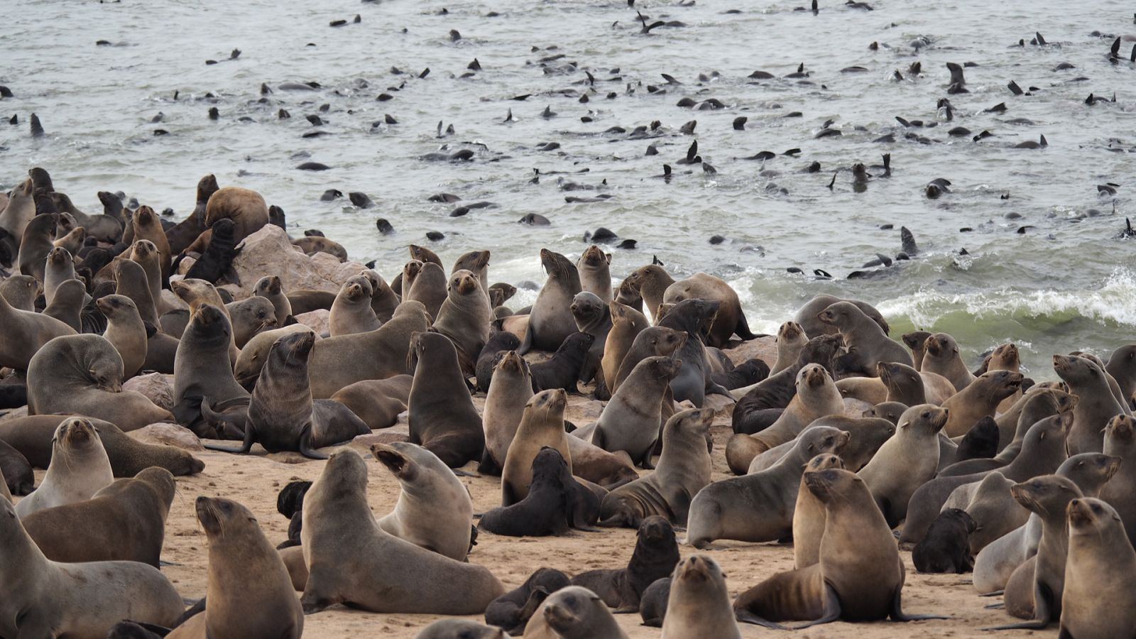 Atlántico - Episodio 13: Entre el desierto y el mar - ver ahora