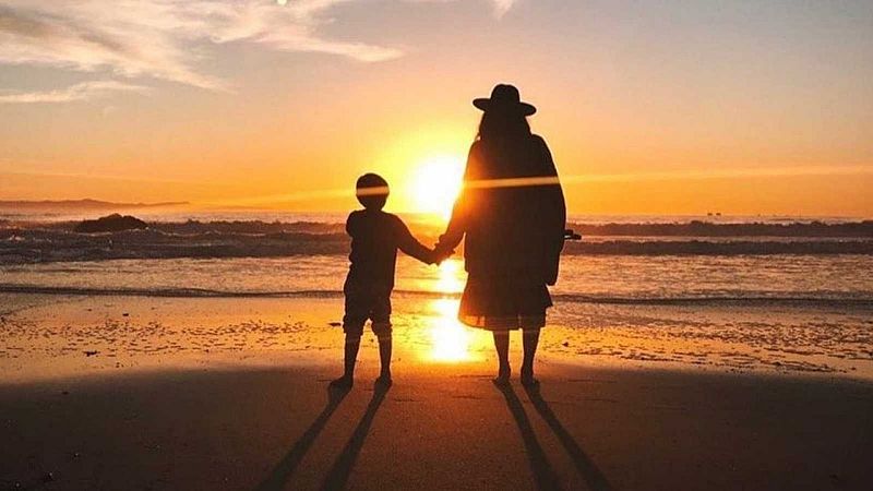 Corazón - Los animales salvajes se cuelan en las casas de Raquel del Rosario, Shakira y Elsa Pataky