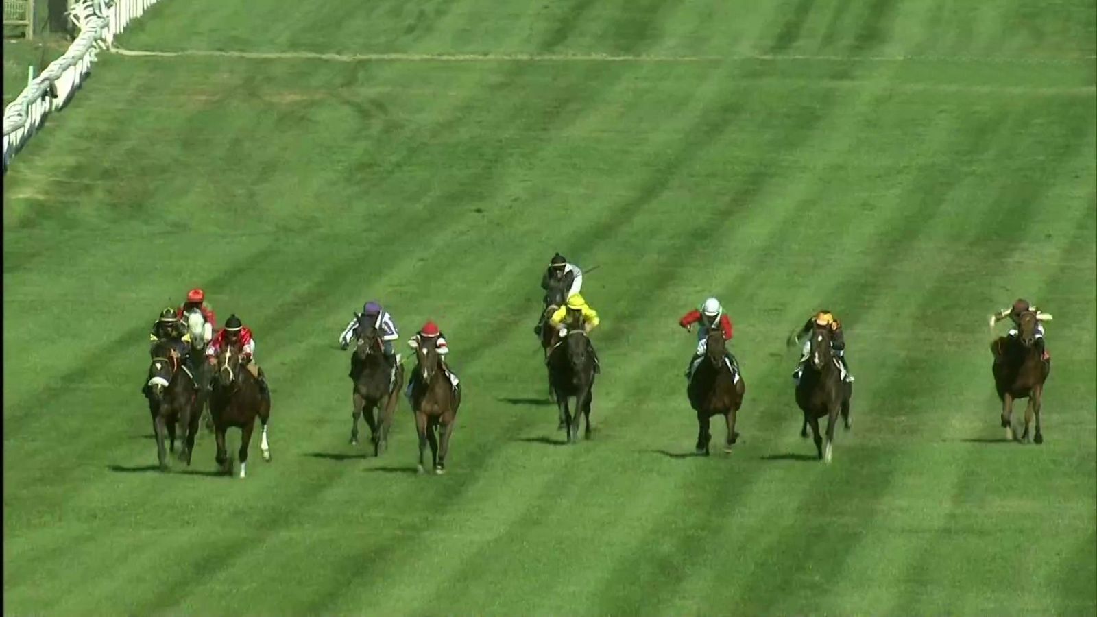 Hípica - Circuito nacional de carreras de caballos desde el Hipódromo de La Zarzuela (Madrid) - ver ahora