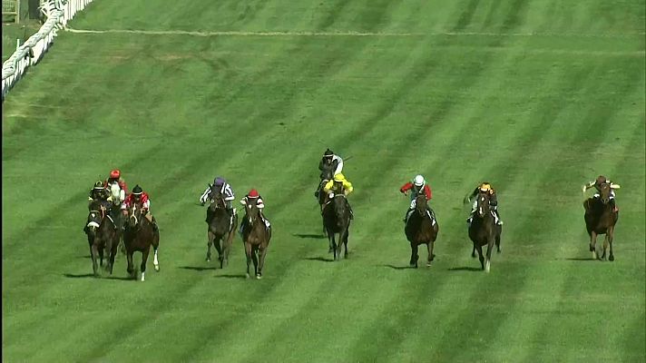 Hípica - Circuito nacional de carreras de caballos