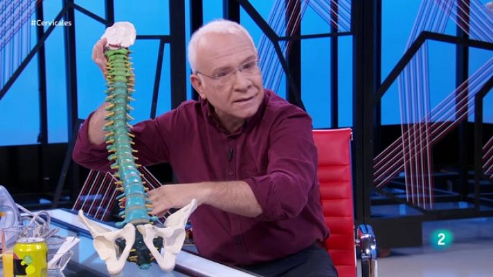 La aventura del Saber - Los problemas cervicales, con el doctor Romero