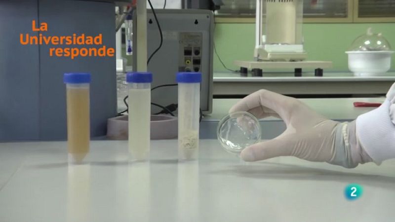 La aventura del saber - ¿Cómo obtener bioplásticos a partir de aguas residuales?