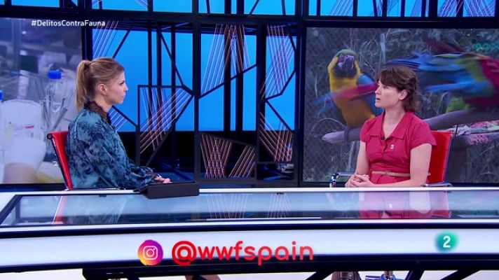 La aventura del Saber - Los delitos contra la fauna, con Laura Moreno de WWF