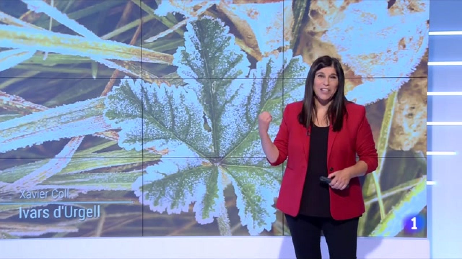 El Temps (25/10/2021) - Sol i bonança a migdia, boira i fred matinal