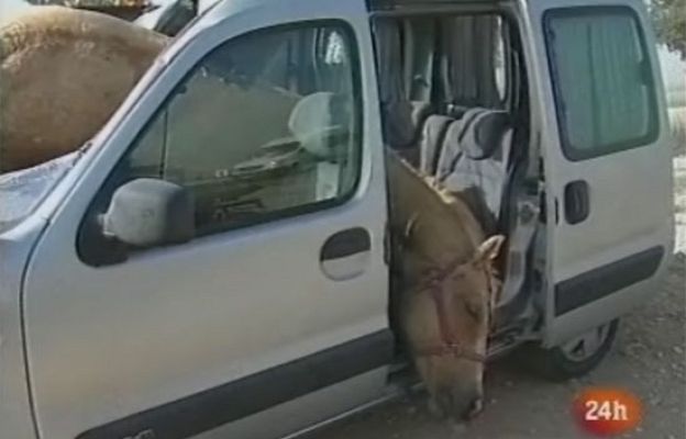  - Espeluznante accidente en Israel