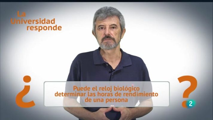 La aventura del Saber - ¿Determina el reloj biológico las horas de rendimiento?