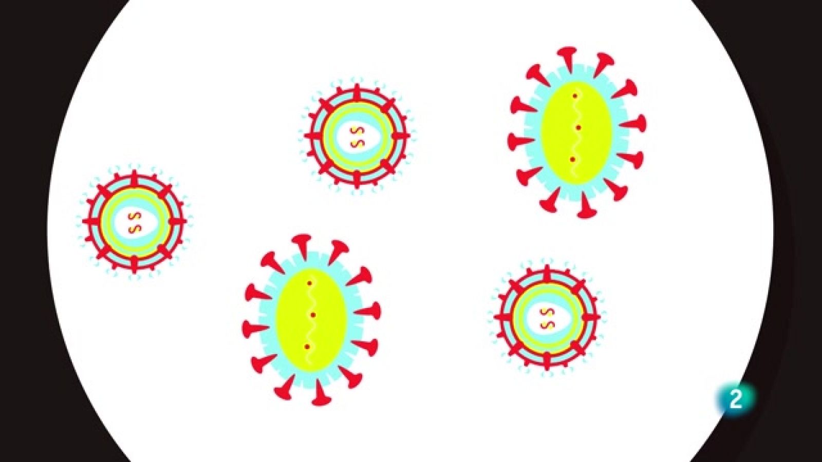 La aventura del saber - ¿La falta de vacunación puede hacer volver enfermedades? - Ver ahora