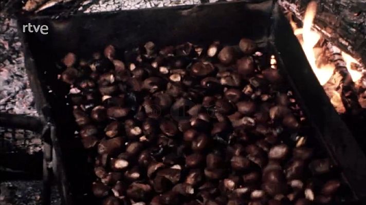 Arxiu TVE Catalunya - Juneda, Perafita, Cerdanya i Francesc de B. Moll