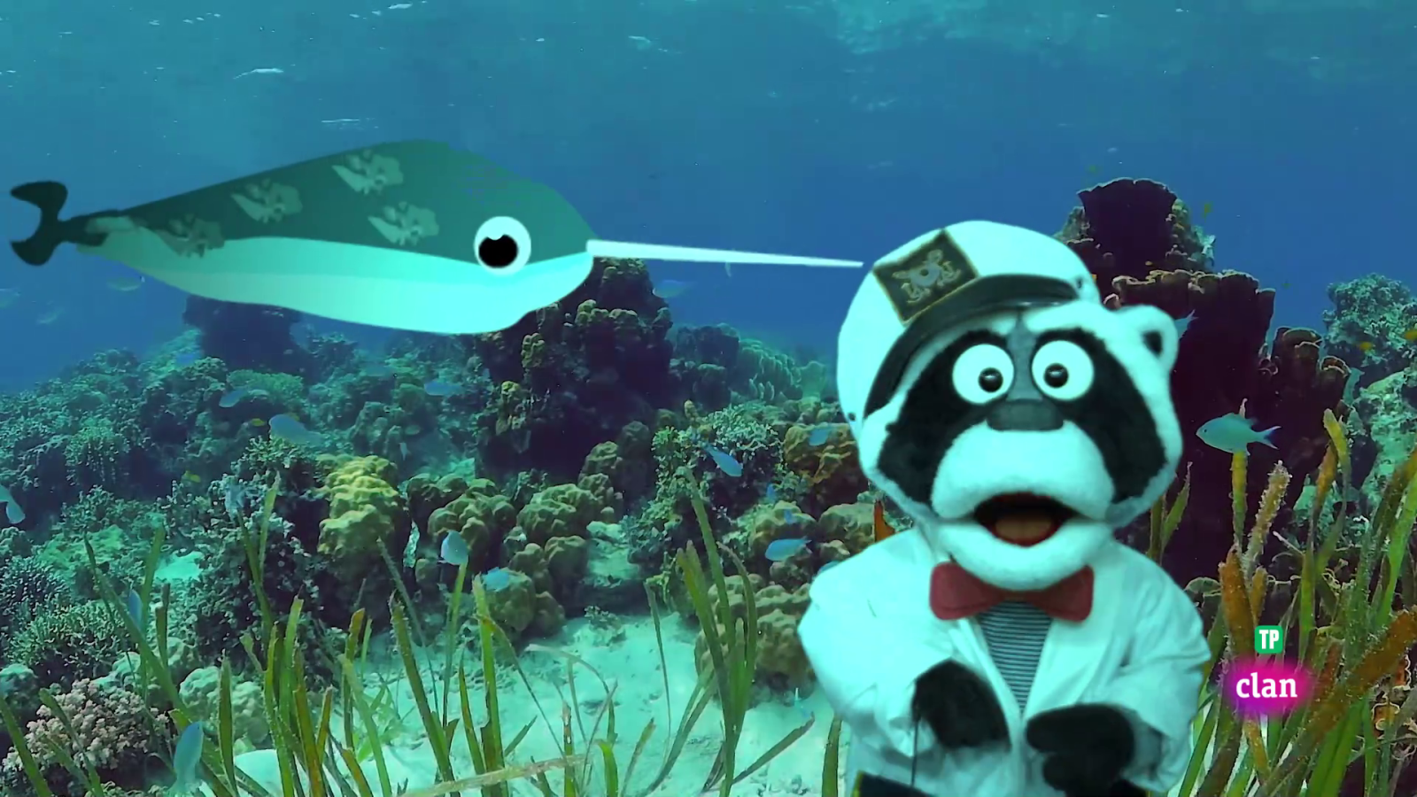 Aprendemos en Clan - 'Está mapachando' - Narvales y más - RTVE.es - Aprendemos en Clan | Ver