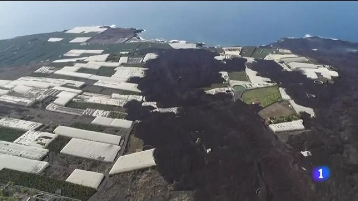 Telecanarias - Telecanarias - 29/10/2021