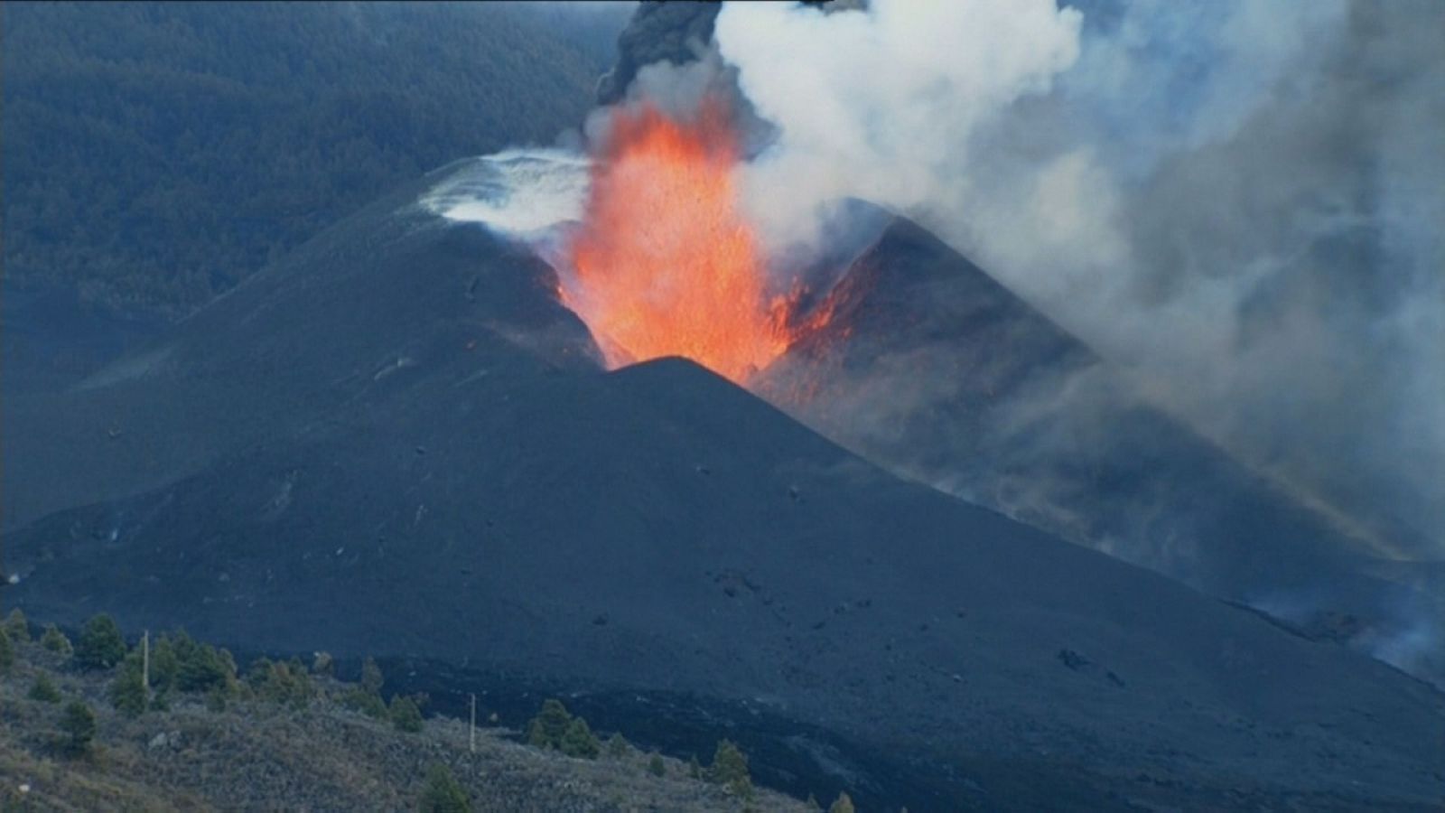 Agrosfera - 30/10/21 - ver ahora