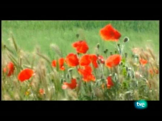 La frontera invisible - La cadena de Agmat