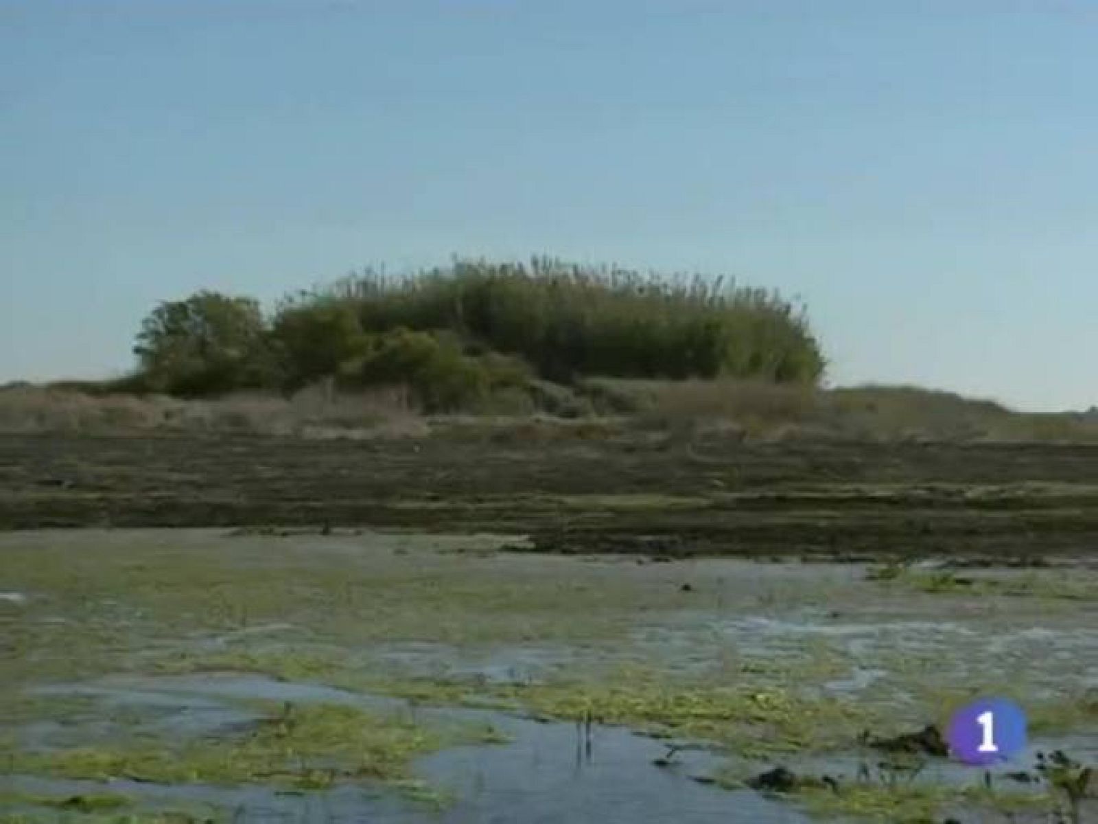 Noticias de Castilla La Mancha. Informativo de Castilla La Mancha. (29/10/09).