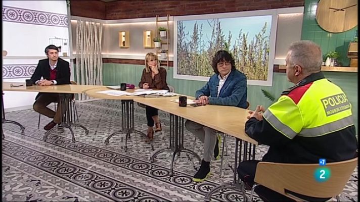 Cafè d'idees - Jaume Collboni, Antoni Trilla i marihuana a Catalunya