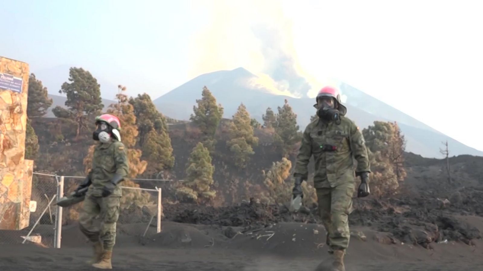 La tarde en 24 horas - 02/11/21 - ver ahora