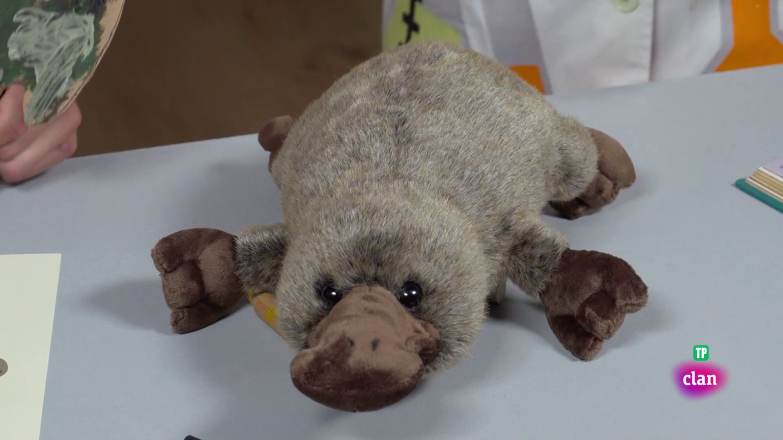 Aprendemos en Clan - CIENCIAS NATURALES - El ornitorrinco - RTVE.es - Aprendemos en Clan | Ver