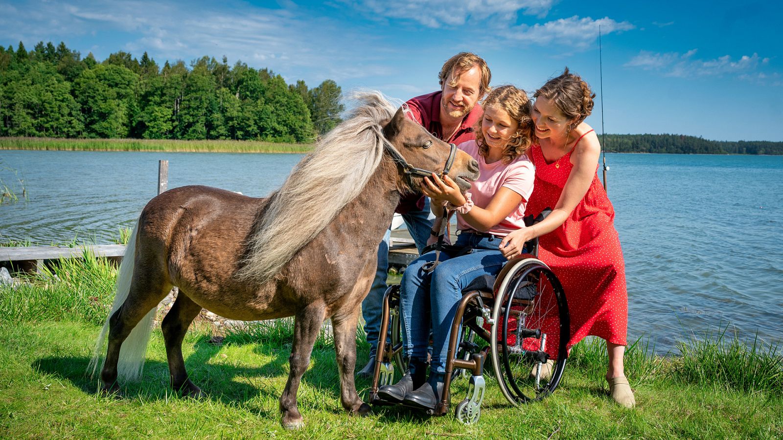 Sesión de tarde - Querido Sven - Ver ahora