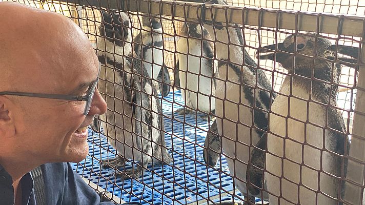 Sudáfrica con Gregg Wallace - La Costa de las Ballenas